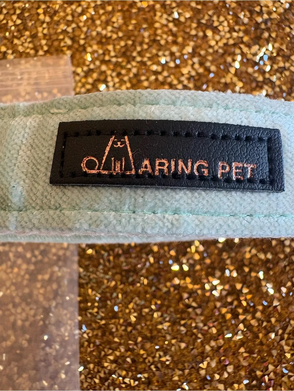 ARING PET NWT Mint Green Padded Dog Collar with Metal D-Ring. Large/XL Dog